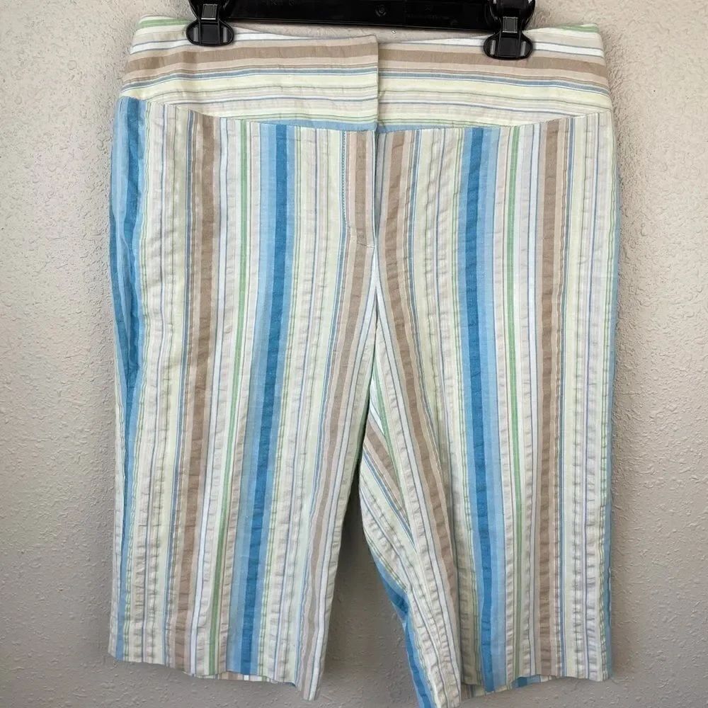 NWT Nine & Co. Striped Shorts Size 10